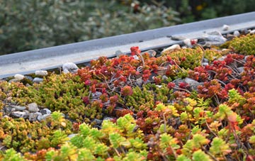 the cost of Chudleigh green roof installation