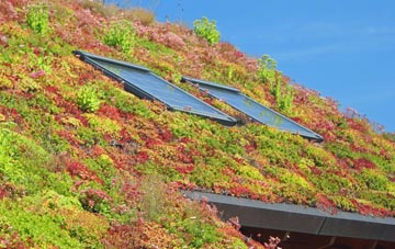 Chudleigh living roof systems